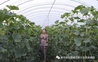 网红吃瓜大集合集,揭秘娱乐圈幕后风云 第1张 网红吃瓜大集合集,揭秘娱乐圈幕后风云 第1张